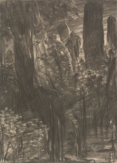 Bir Ağaç Korusu by Thomas Dalziel