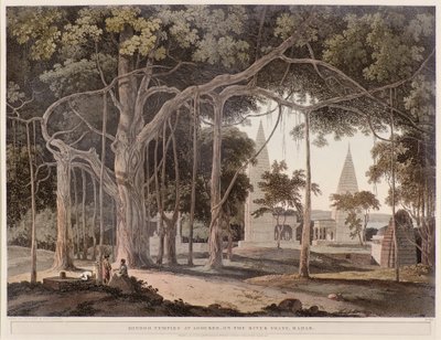 Soane Nehri üzerindeki Agouree