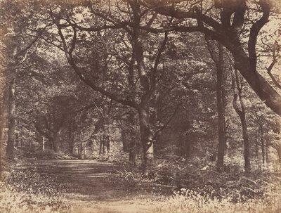 Ahşap sahne, Norton, Cheshire, 1856. by Thomas Davies