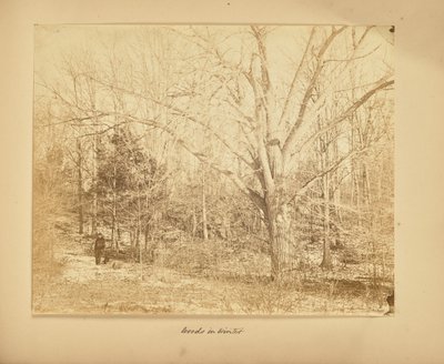  by Thomas E. Jevons
