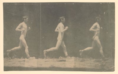 Tanımlanamayan Modelin Marey Tekerlek Fotoğrafları, 1884. by Thomas Eakins