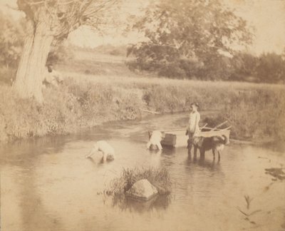 [Üç Çocuk ve Derede Oynayan Bir Köpek, 4 Temmuz 1883], 1883., 1883. by Thomas Eakins