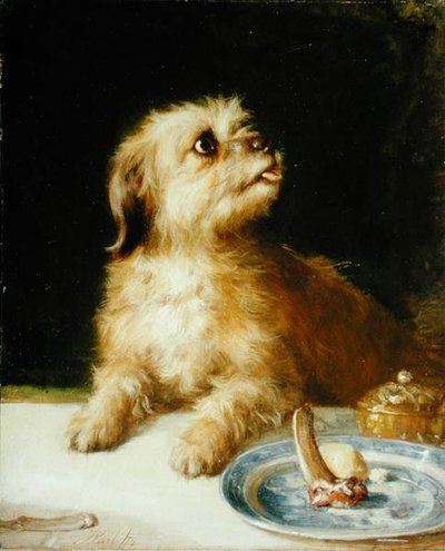 Norfolk korkunç by Thomas Earl
