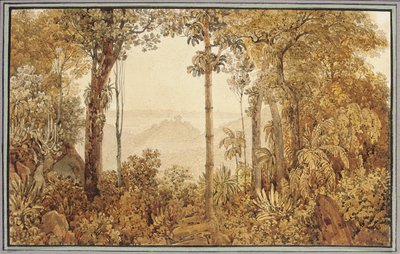 Tijuca ormanından Rio de Janeiro