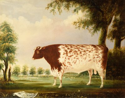 Mina, Dört Yaşındaki Kısa Boynuzlu Boğa, Çayırda (tuval üzerine yağlı boya) by Thomas Freebairn Wilson
