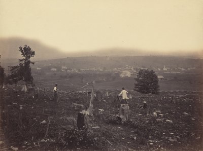 Waymart, Del. & Hudson Canal Co., c. 1863-1865. by Thomas H. Johnson