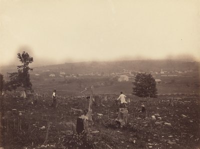 Waymart, c. 1863-1865. by Thomas H. Johnson