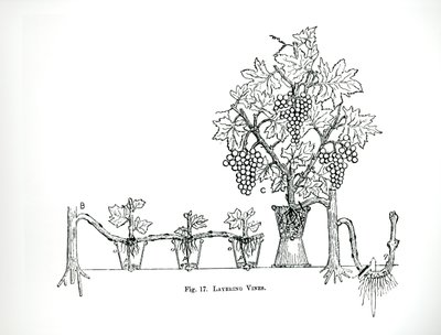 1900