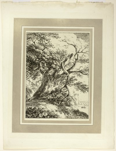 Old Tree, Numunelerin Polyautography