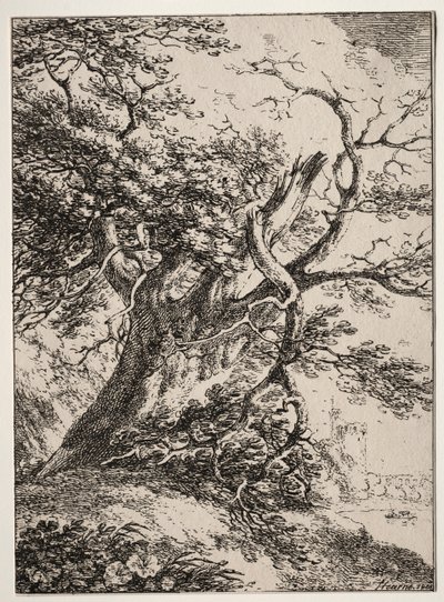 Poliotografi Örnekleri: Meşe Ağacı ile Peyzaj, 1803. by Thomas Hearne