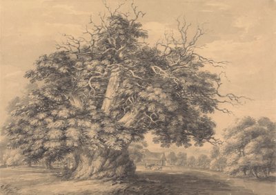 Little Wymondley, Hertfordshire'daki Kestane Ağacı by Thomas Hearne