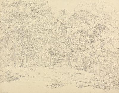 Ashtead Park, Surrey'deki Ağaçlar by Thomas Hearne