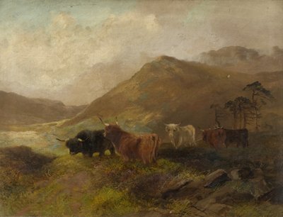 Cheviot