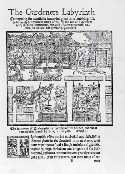 The Gardeners Labyrinth, 1577