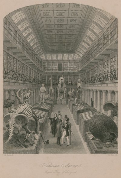 Hunterian Müzesi, Kraliyet Cerrahlar Koleji, Londra by Thomas Hosmer Shepherd