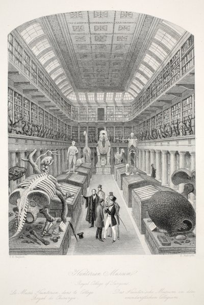 Hunterian Müzesi, Royal College of Surgeons, 