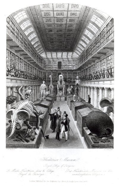 Hunterian Müzesi, Edward Radclyffe tarafından kazınmış 
