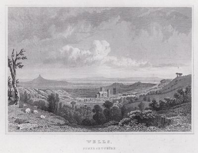 Wells, Somersetshire (gravür) by Thomas Hosmer Shepherd