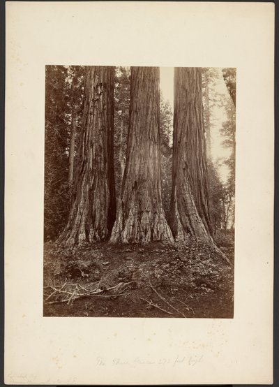  by Thomas Houseworth