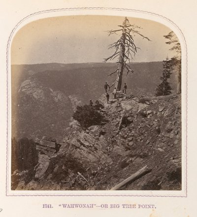  by Thomas Houseworth