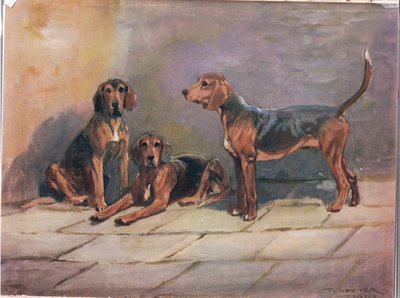 Köpekler, "Hounds"dan bir örnek by Thomas Ivester Lloyd