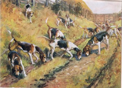 Burundan Yere, 'Tazılar'dan bir çizim by Thomas Ivester Lloyd