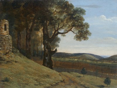 Pencerrig yakınındaki tarla by Thomas Jones