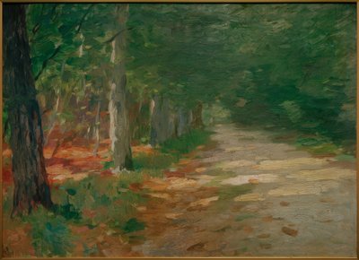 Güneş lekeleriyle dolu orman yolu by Thomas Ludwig Herbst