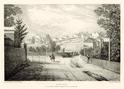 Herne Tepesi, Londra by Thomas Mann Baynes