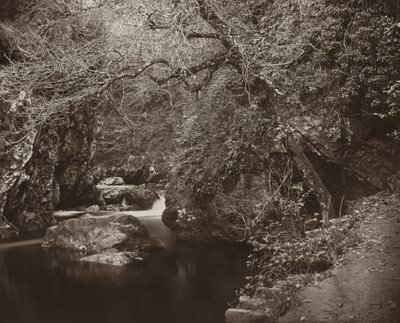 Dargle Deliği, c. 1865. by Thomas Marcus Brownrigg