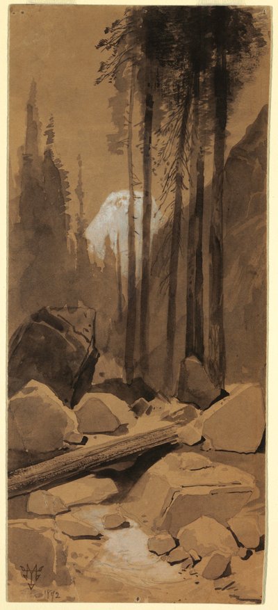Çizim, Yosemite Vadisi