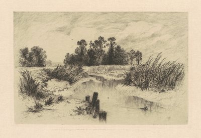 Newark Çayırlarında by Thomas Moran