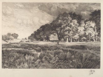 Long Island Manzarası by Thomas Moran
