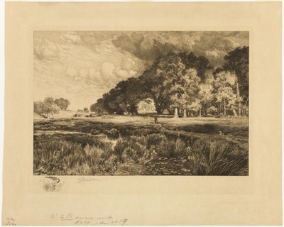 Long Island Manzarası by Thomas Moran