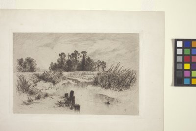 Akıntılı Bataklık Manzarası (kağıt üzerine gravür) by Thomas Moran