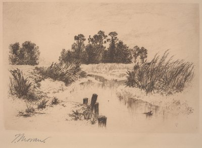 Passaic Meadows (Newark Meadows