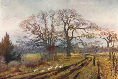 Erken İlkbahar, Victoria yakınlarında, British Columbia (renkli litografi) by Thomas Mower Martin
