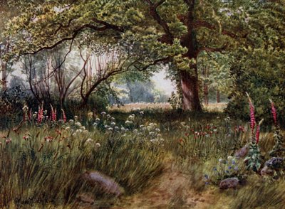 Kew Bahçeleri: Kraliçe