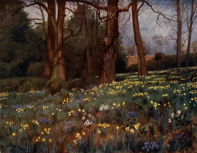 Kew Bahçeleri: İlkbaharda Vahşi Bahçe (renkli taş) by Thomas Mower Martin