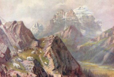 Tapınak Dağı, Yaban Keçileri Beslenirken (renkli taş baskı) by Thomas Mower Martin