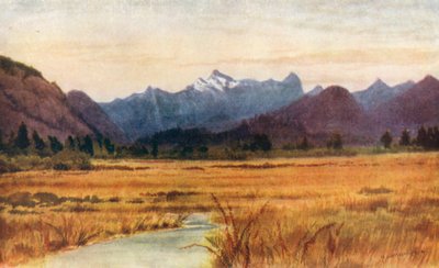 Pitt Meadows, Fraser Nehri üzerinde, British Columbia (renkli lito) by Thomas Mower Martin