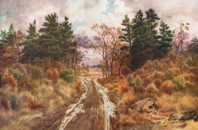 Fundy Körfezi yakınlarındaki yol, Sonbahar (renkli lito) by Thomas Mower Martin