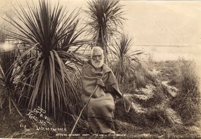 Yarışın sonuncusu, Matene Korako Wera. Ote Hapu Ngatimamoe, 1895 dolayları (albümleri yazdır) by Thomas Muir