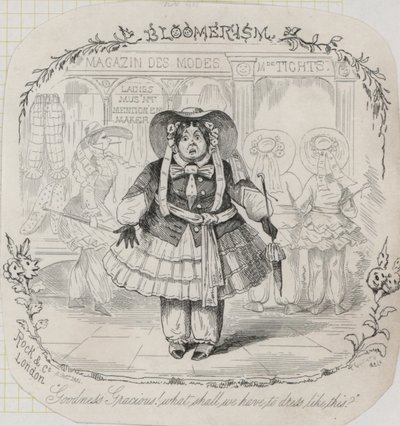 Viktorya dönemi kadın modası: çiçek açanlar (gravür) by Thomas Onwhyn
