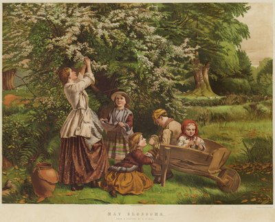 Mayıs Çiçekleri (chromolitho) by Thomas P. Hall