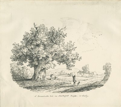 Arley - Shatterfort Yüksekliği: litografi, 1839 by Thomas Peploe Wood