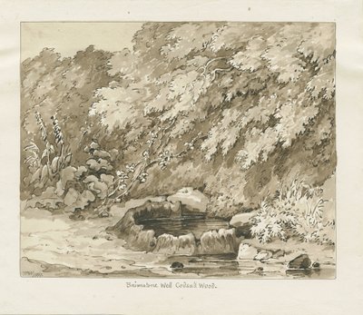 Codsall Wood - Brimstone Kuyusu: sepya çizimi by Thomas Peploe Wood