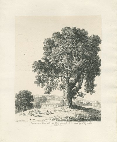 Shugborough Park - Dişbudak: kalem ve mürekkeple çizim by Thomas Peploe Wood