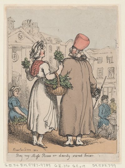 My Moss Roses veya Dainty Sweet briar, 1811., 1811 satın alın. by Thomas Rowlandson