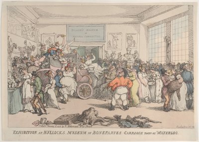 Bullock Bonaparte
